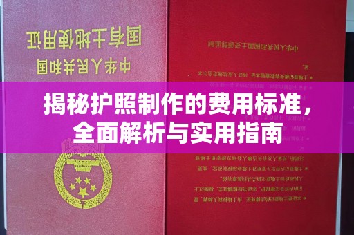 遂溪揭秘护照制作的费用标准，全面解析与实用指南