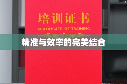 安岳精准与效率的完美结合